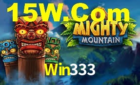 Statistics Win333